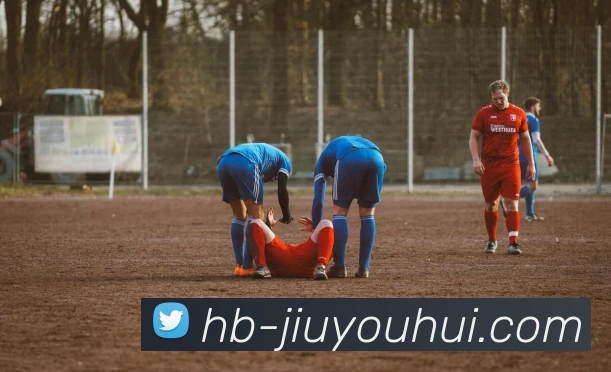 J9九游会官网平台生态图